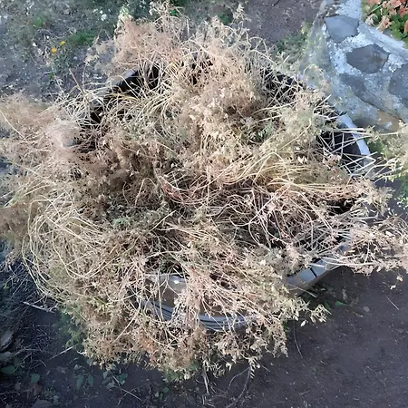 بيت ضيافة Et Table D'hotes Du Terroir 3*